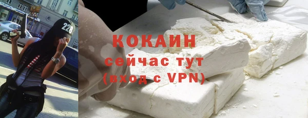 гашик Аркадак