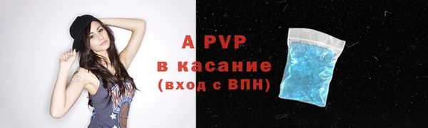 стаф Баксан