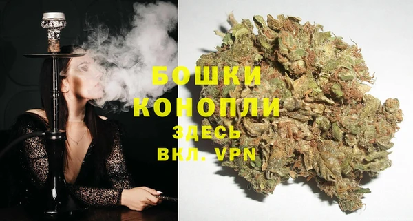 гашик Аркадак