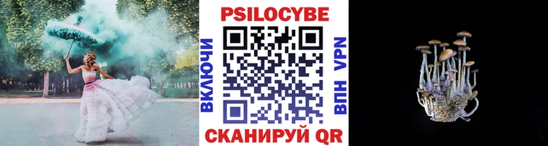 Псилоцибиновые грибы Psilocybine cubensis  мега как войти  Кунгур 